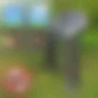 Solarny odstraszacz szkodników | SOLGUARD