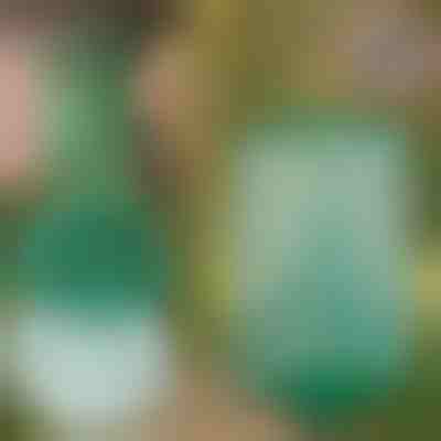 Wisząca Pułapka na Muchy i Owady Wielokrotnego Użytku | INSECTA