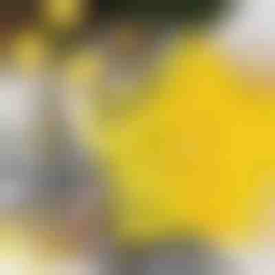 Foremki do ciastek w kształcie gwiazdek (6 sztuk) | STARCUTS