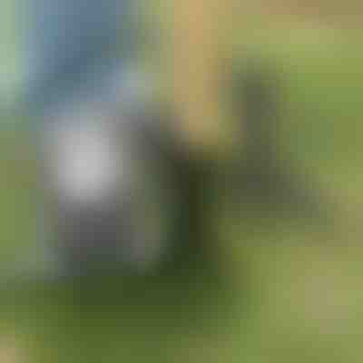 Narzędzie do wyrywania chwastów | ROOTNIK