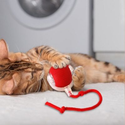 Zabawka dla zwierząt poruszająca się pod wpływem dotyku | GATOPLAY