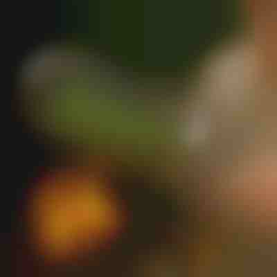 Kosz do grilla obrotowy | ROLOGRILL